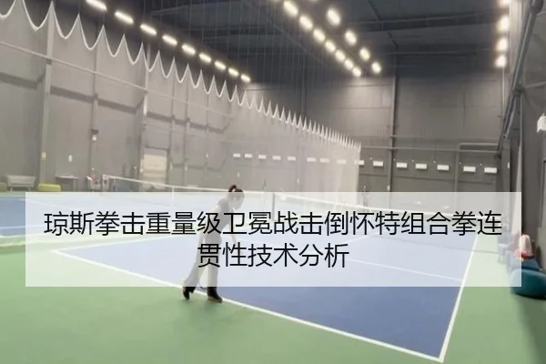琼斯拳击重量级卫冕战击倒怀特组合拳连贯性技术分析